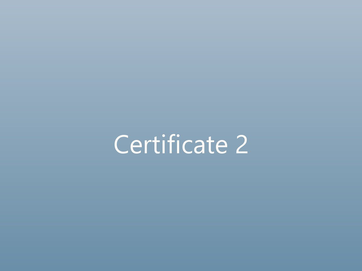 Certificate 2